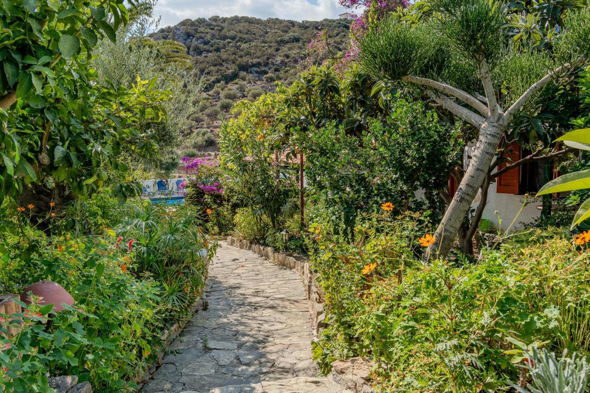 Athina Villas Istron Zewnętrze zdjęcie
