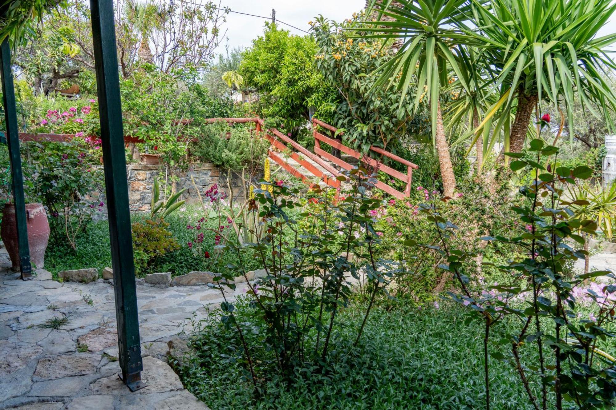 Athina Villas Istron Zewnętrze zdjęcie